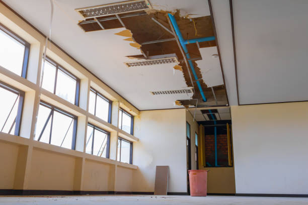 Best 24-hour water damage restoration  in Paterson, NJ