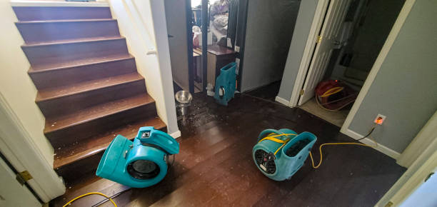 Best Water damage restoration near me  in Paterson, NJ