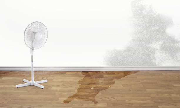 Best Professional water damage repair  in Paterson, NJ