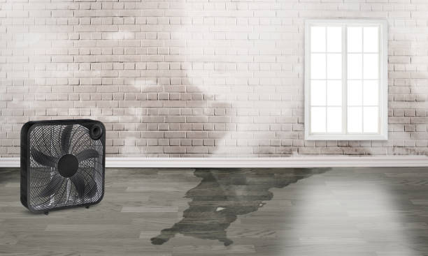 Best Water damage restoration cost  in Paterson, NJ