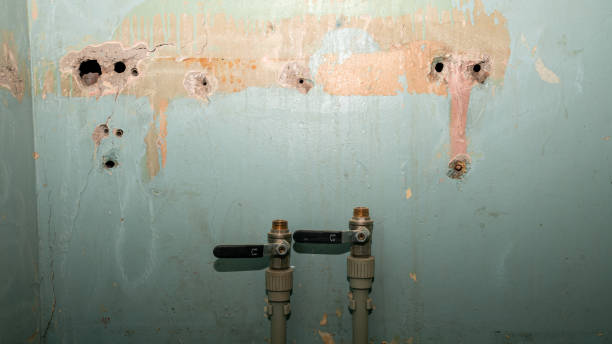 Best Fire Damage Restoration  in Paterson, NJ